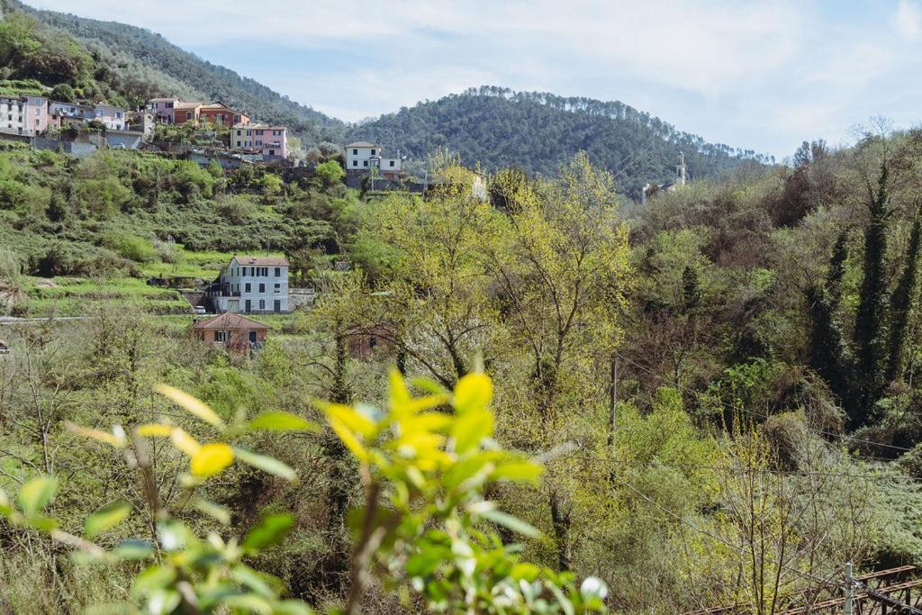 Апартаменты Residenza Nemus Mare E Montagna Graveglia Экстерьер фото